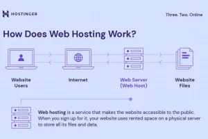 what is web hosting